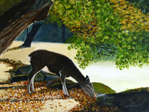 Sika Deer