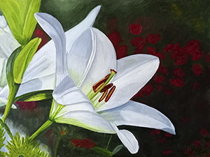 Lily