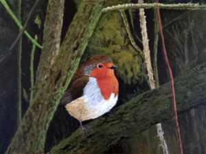 Robin